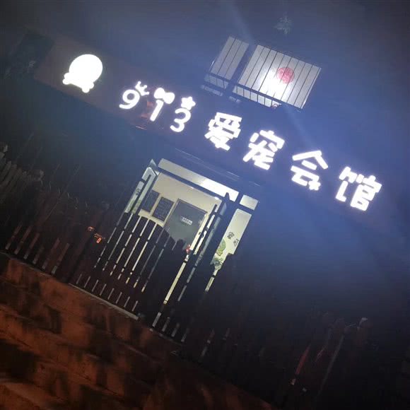 913宠物会馆:沈阳市和平区南市/马路湾附近