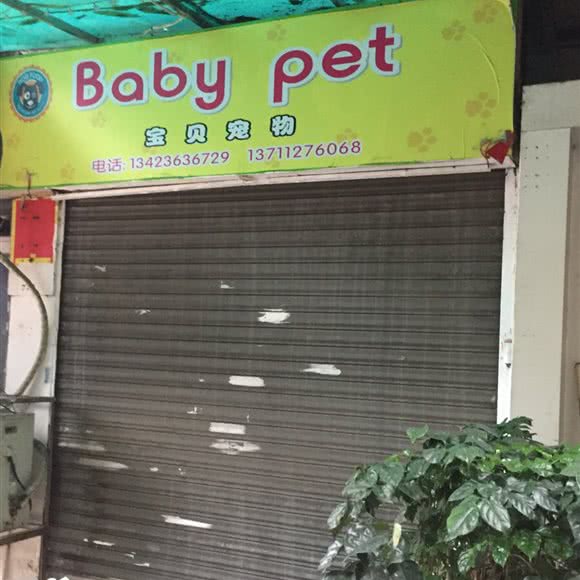 Baby pet宝贝宠物:广州市海珠区