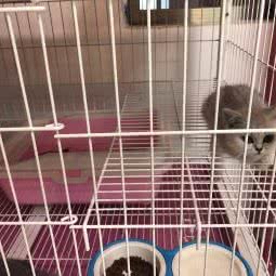 萌贝宠物:广州市海珠区