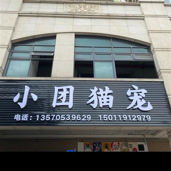 小团猫宠（罗马家园店）猫狗精致SPA  撸猫:广州市海珠区
