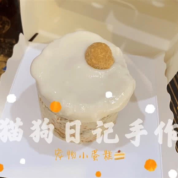 猫狗日记宠物生活馆:广州市海珠区