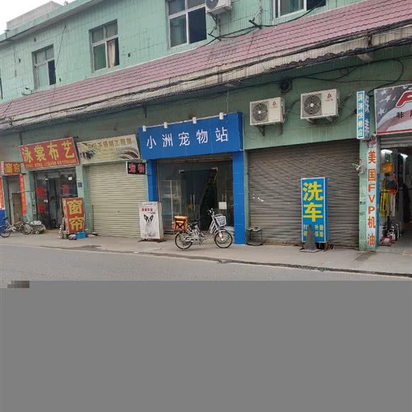 小洲宠物店:广州市海珠区