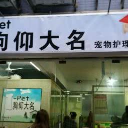 狗仰大名:广州市海珠区
