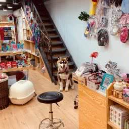 TYGRIN袖虎宠物(革新路店):广州市海珠区