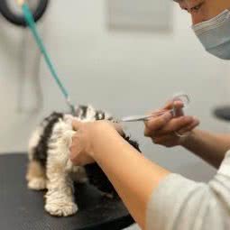 PETKIT小佩宠物(新世界店):沈阳市和平区南湖公园/三好街附近