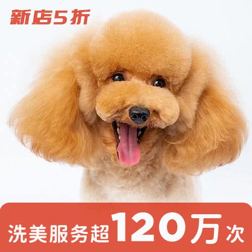 宠物家(爱这城店):北京城区朝阳区四惠附近