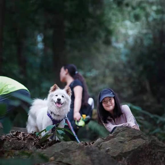 迷途森林宠物山庄LostForest PetVilla:广州市天河区