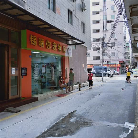 锡晒你宠物店:广州市白云区