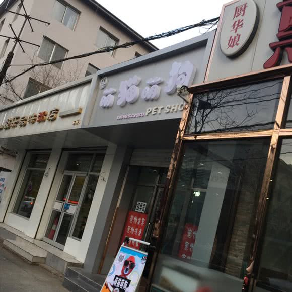 萌猫萌狗工作室:沈阳市和平区南湖公园/三好街附近