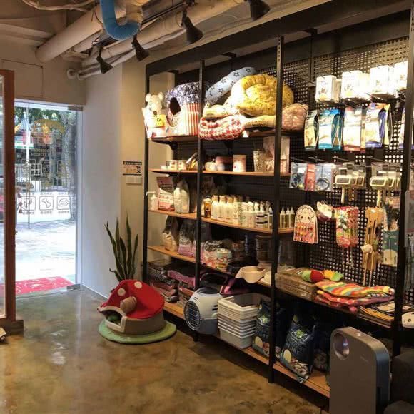 藏猫猫儿宠物体验馆:广州市白云区