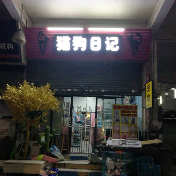 猫狗日记:广州市白云区