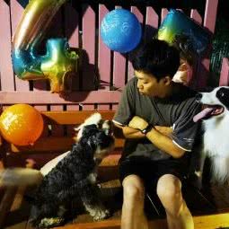 德宠宠物山庄:广州市黄埔区