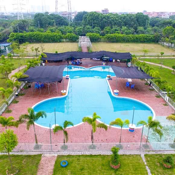 安心宠物乐园:广州市番禺区