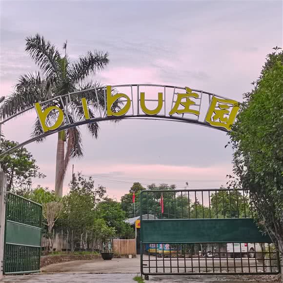 棒棒堂乐园:广州市番禺区