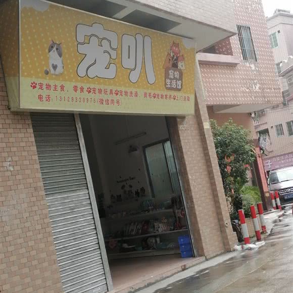 宠叭宠物生活馆:广州市番禺区
