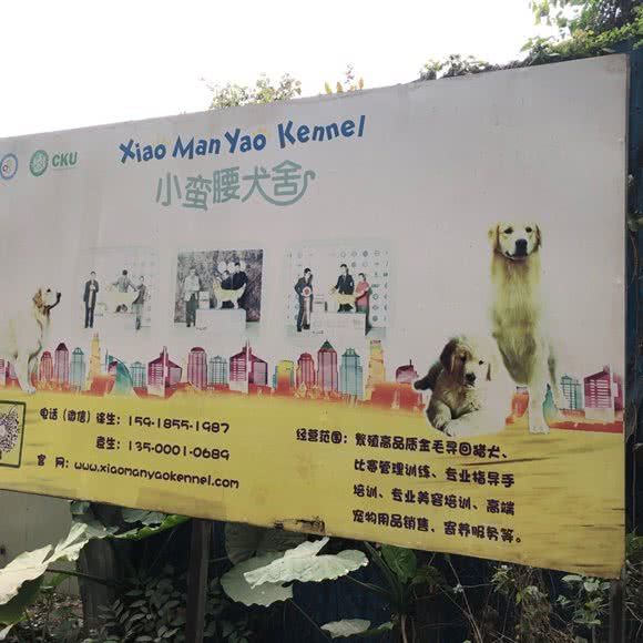 小蛮腰犬舍:广州市番禺区