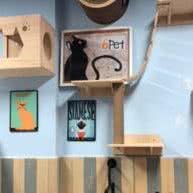 6Pet宠爱有家:广州市花都区