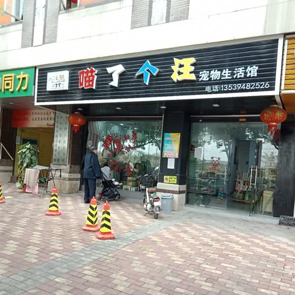 喵了个汪宠物生活馆:广州市花都区
