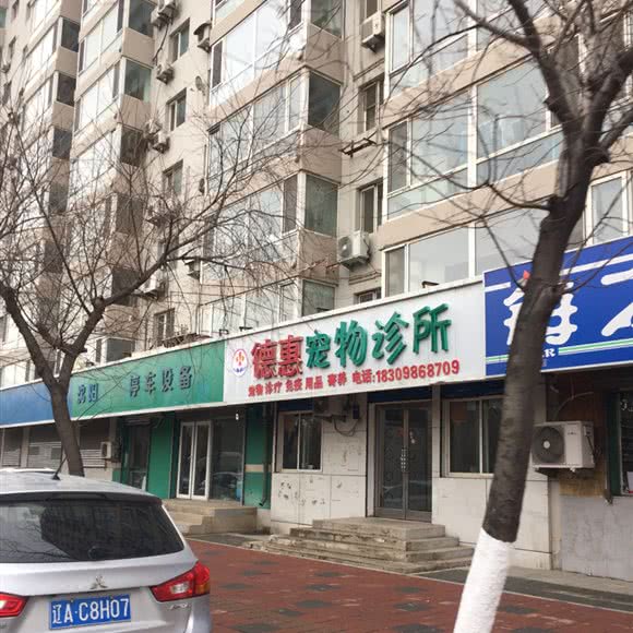 德佰惠宠物诊所:沈阳市和平区南湖公园/三好街附近