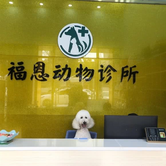 福恩动物诊所(天马河分店):广州市花都区