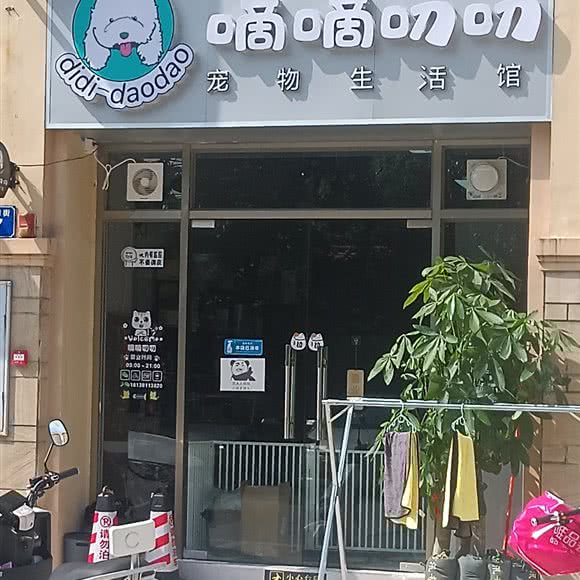 嘀嘀叨叨 宠物生活馆:广州市增城区
