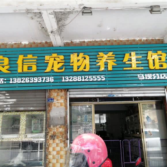 良信宠物狗养生馆:韶关市曲江区