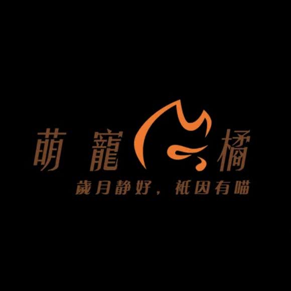 星河萌宠橘:沈阳市和平区长白岛附近