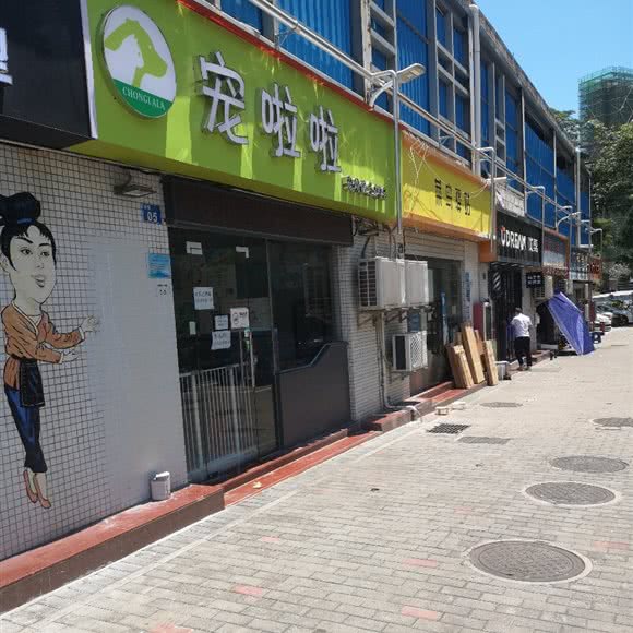 宠啦啦:深圳市南山区