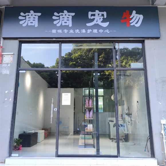 滴滴宠物(固戍店):深圳市宝安区