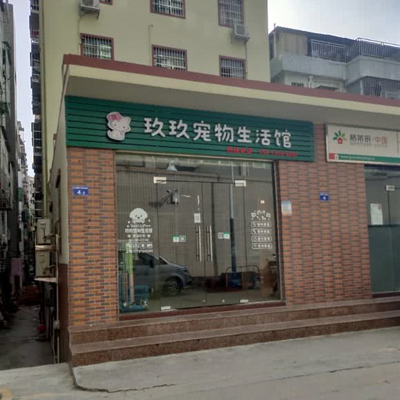 玖玖宠物生活馆:深圳市宝安区