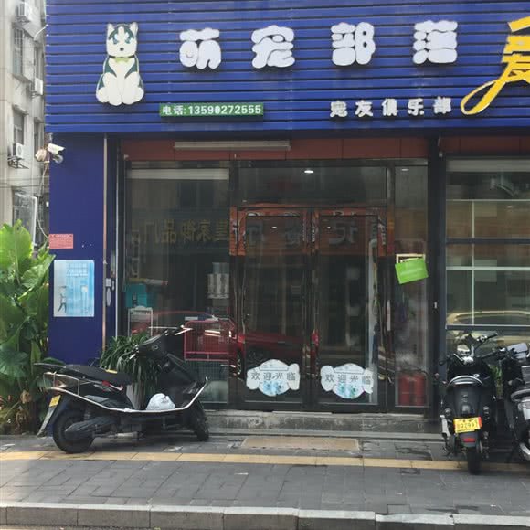 萌宠部落:深圳市宝安区