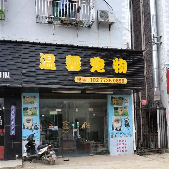 温馨宠物:深圳市宝安区