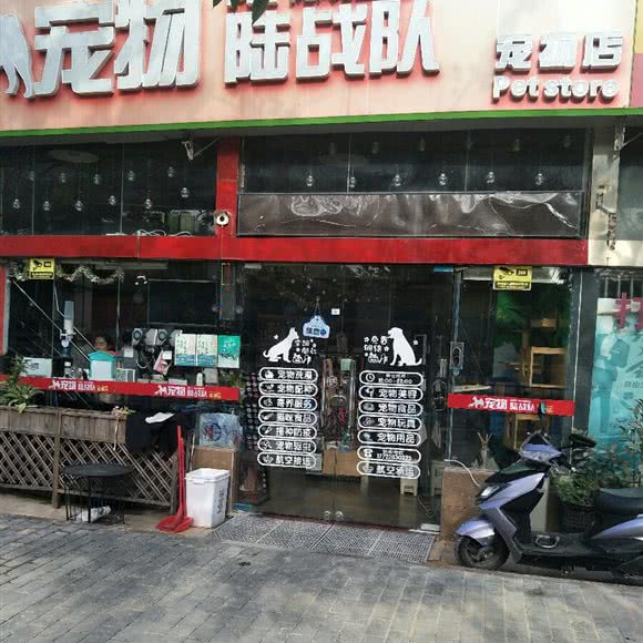 宠物陆战队宠物店:深圳市宝安区