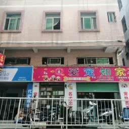 爱宠知家宠物店:深圳市宝安区