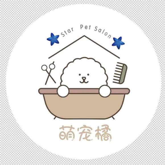 星河萌宠橘:沈阳市和平区长白岛附近