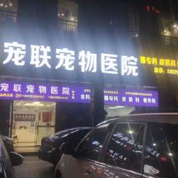 宠联宠物医院:深圳市宝安区