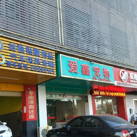 爱鑫宠物:深圳市龙岗区