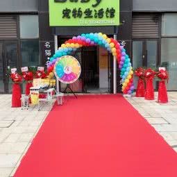 Baby宠物生活馆(长白中航城店):沈阳市和平区长白岛附近