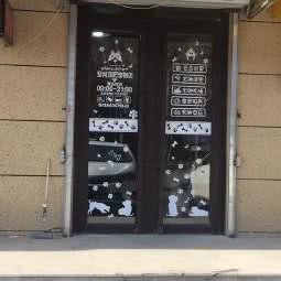 宠尚宠吧:沈阳市和平区长白岛附近