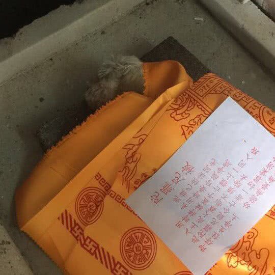 乐善宠物火化善终:深圳市龙华区