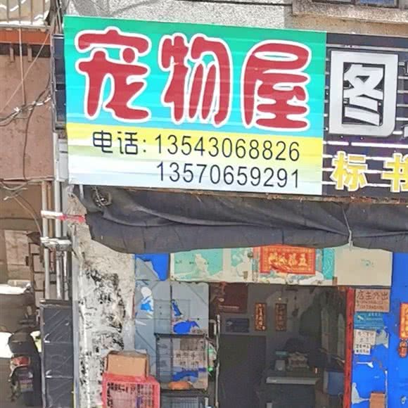 宠物屋:珠海市斗门区