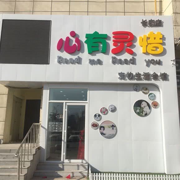 心有灵惜宠物会馆(长白店):沈阳市和平区长白岛附近