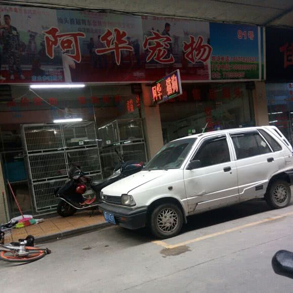 阿华宠物:汕头市金平区