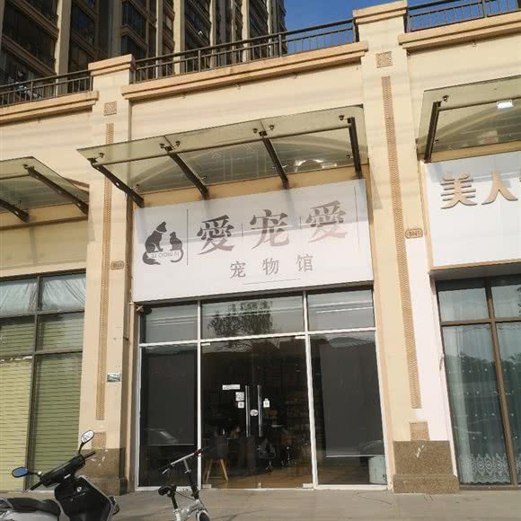 爱宠爱宠物馆:汕头市潮阳区