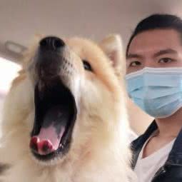 创二代宠物生活馆:汕头市潮阳区