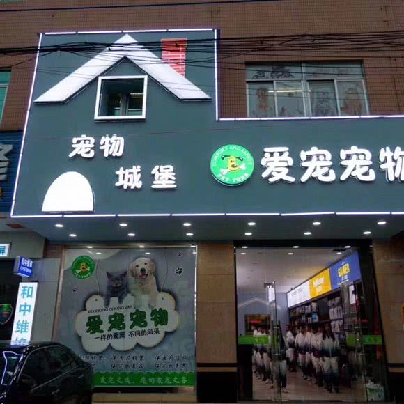 爱宠宠物(和平店):汕头市潮阳区