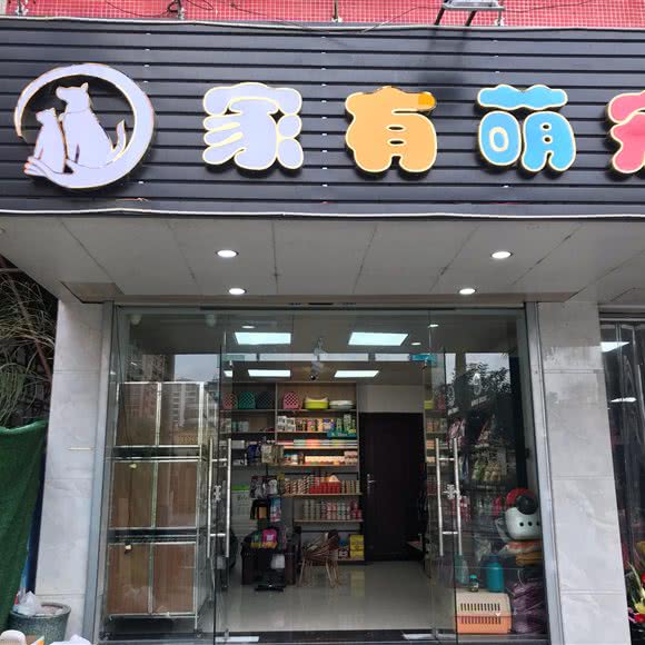 家有萌宠:汕头市潮阳区