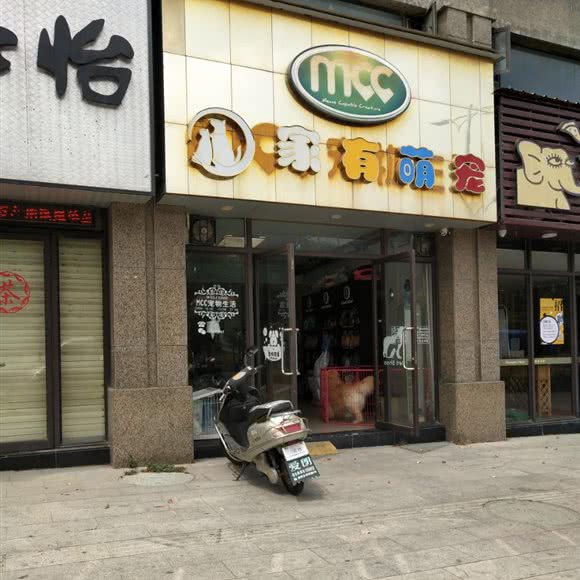 mcc宠物生活:汕头市潮阳区