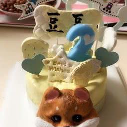 桃小桃萌宠烘焙馆:沈阳市和平区长白岛附近