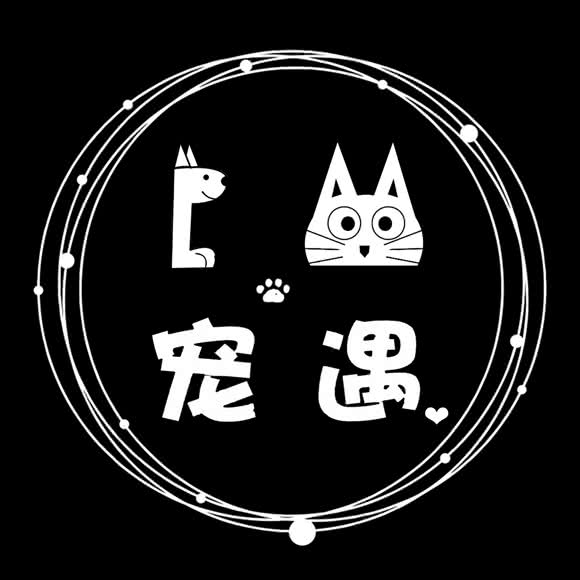 P·M宠遇宠物店:汕头市澄海区